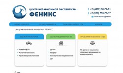 Центр независимой экспертизы ФЕНИКС